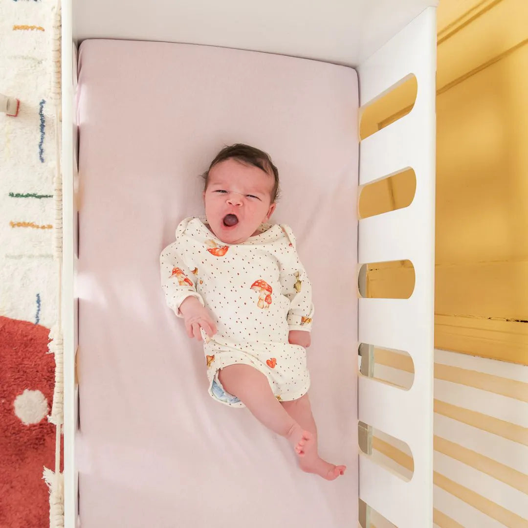 Body Bebe Manga Longa em Algodão Egípcio Cogumelo - Casulo De Anjo