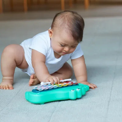 Xilofone Jacaré - Buba Zoo