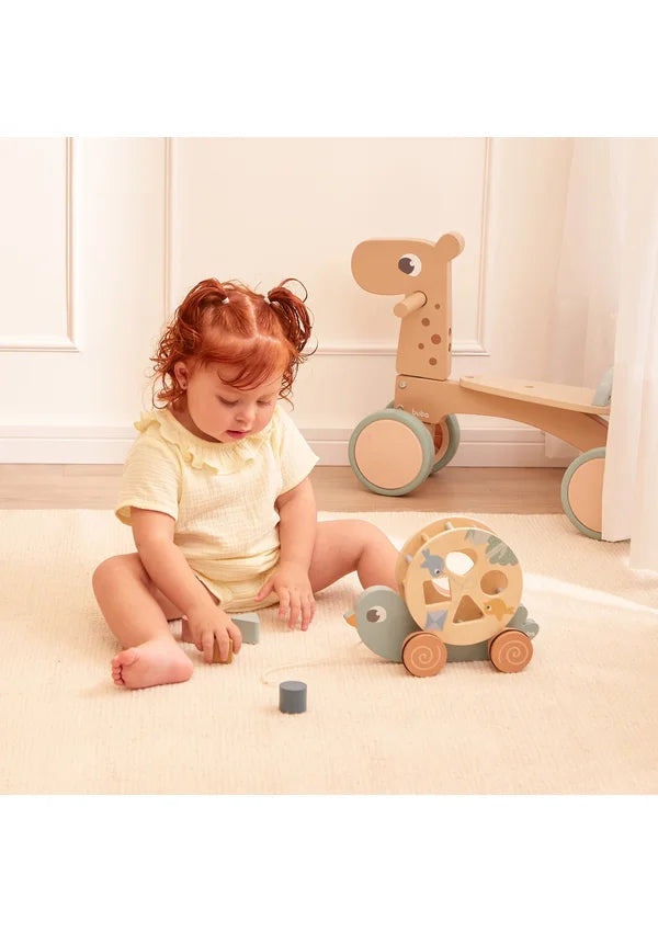 Passarinho De Passear Cloudy - Buba