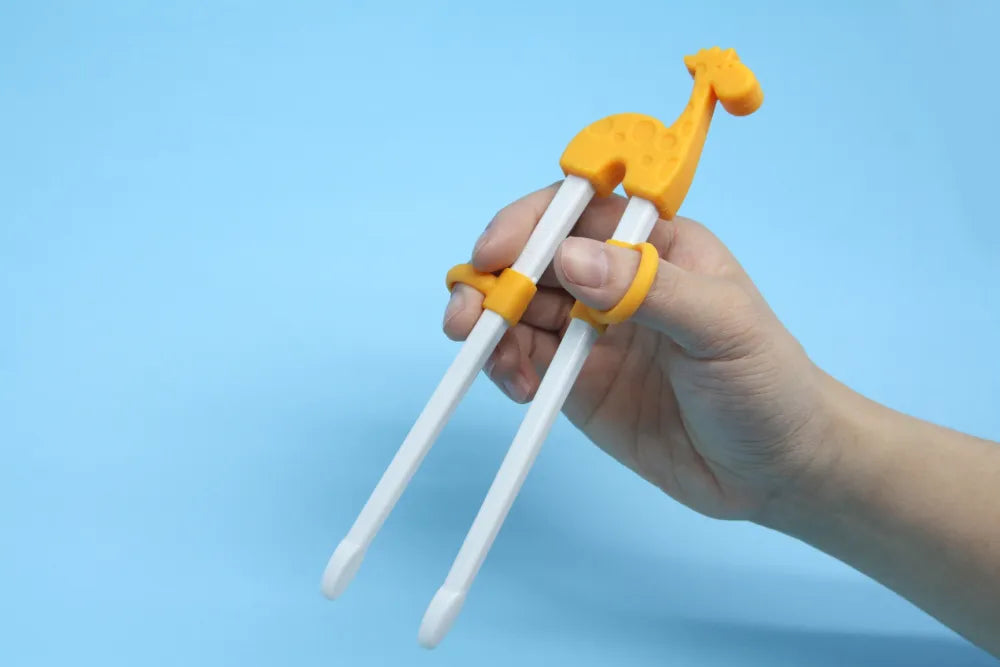 Hashi Para Treinamento Com Ajuste - Hipo