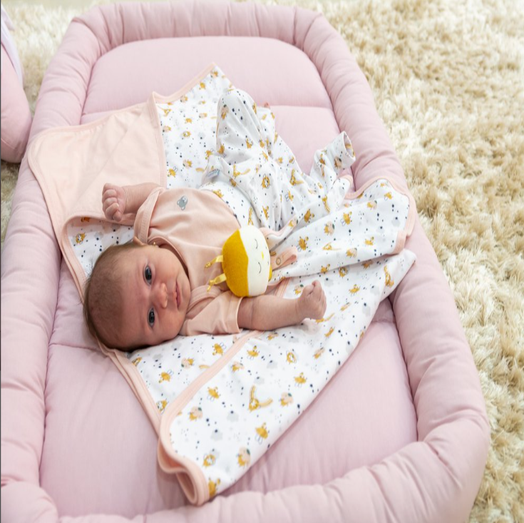 Colchonete Basic Dobrável 100% algodão Rose - Batistela Baby