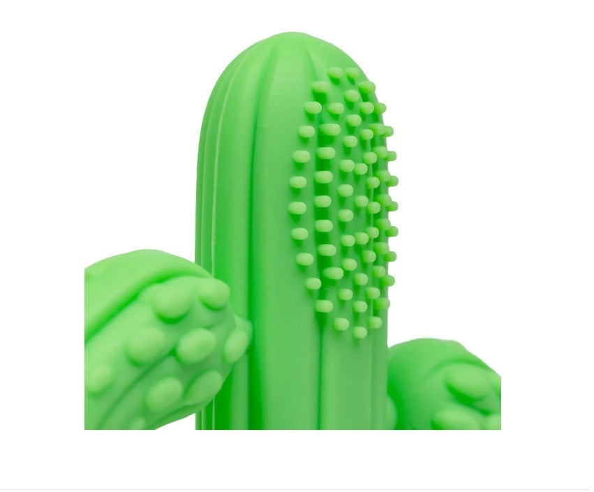 Massageador De Gengiva Cacto - Buba